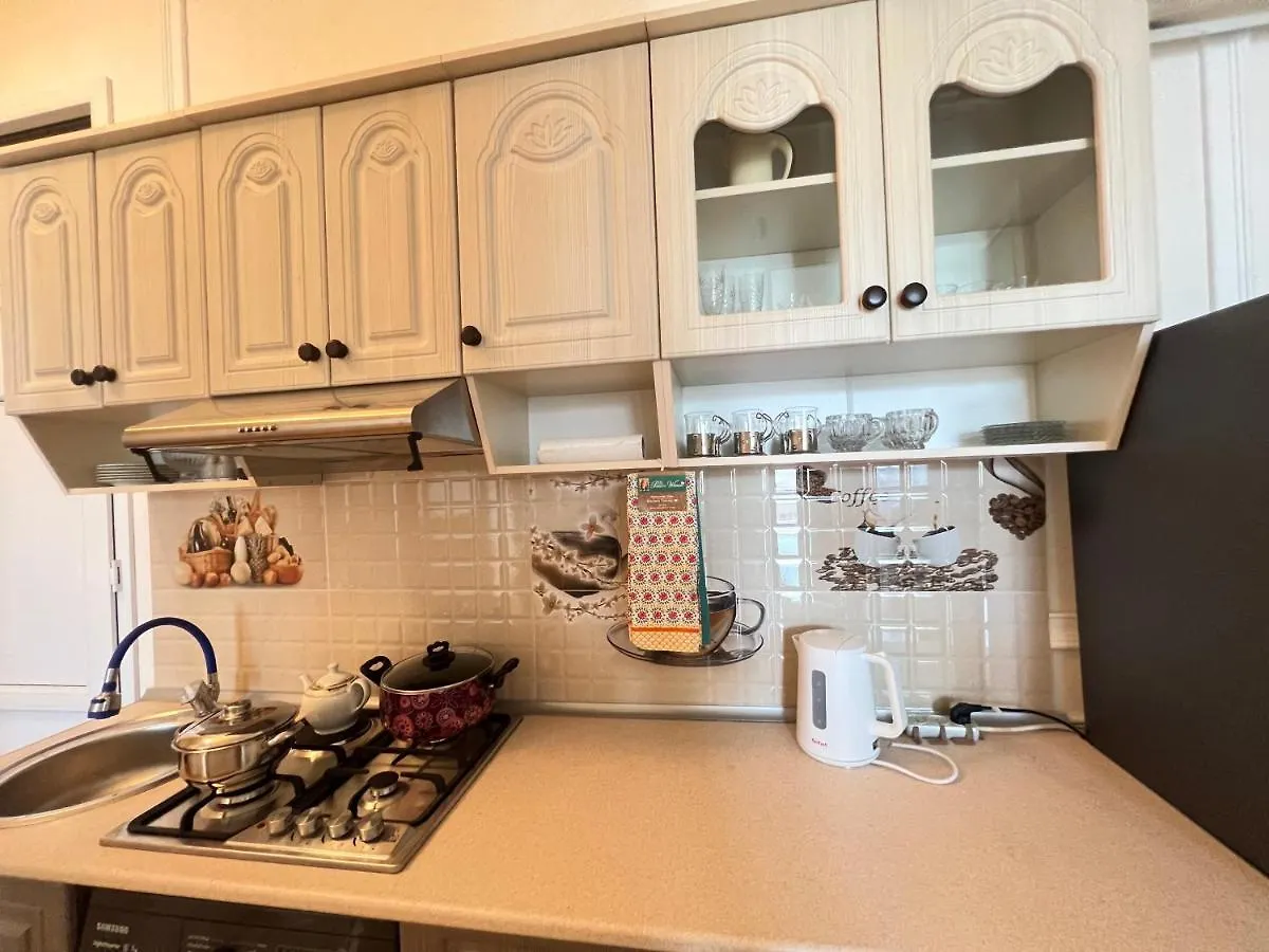 Luxury Apartment With View City Center 28May Street Baku Azerbaijan